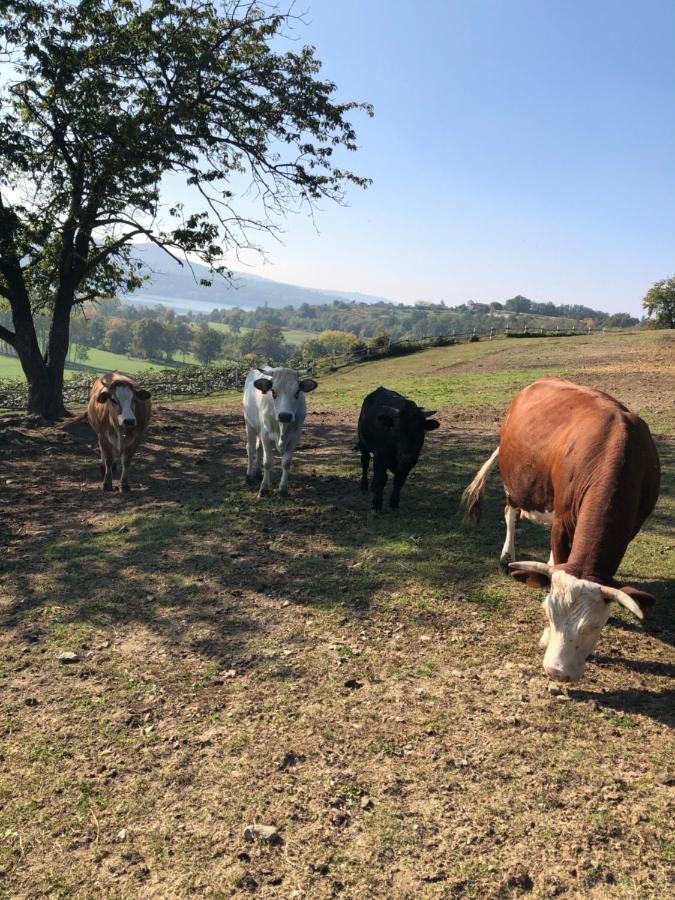 Cascina Coste Villa Roppolo Buitenkant foto